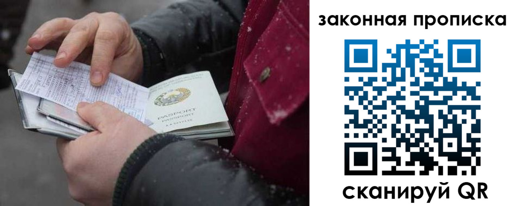прописка поиск в Тихорецке